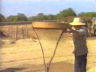 CAMPO (138) MAQUINARIA TRACTOR